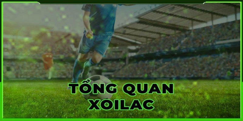 Xoilac TV là website thể thao hot nhất thị trường Việt