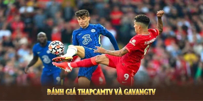 Đánh giá ThapcamTV và GavangTV để chọn ra nền tảng live bóng đá phù hợp