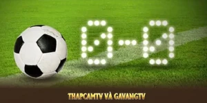 so sánh thapcamtv va gavangtv.ai